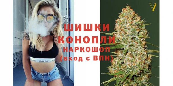 ешки Алексин