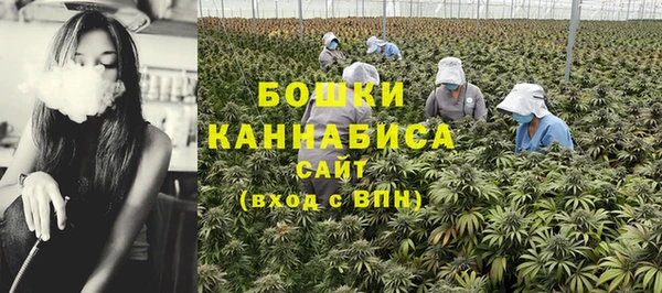 прущие грибы Красноперекопск