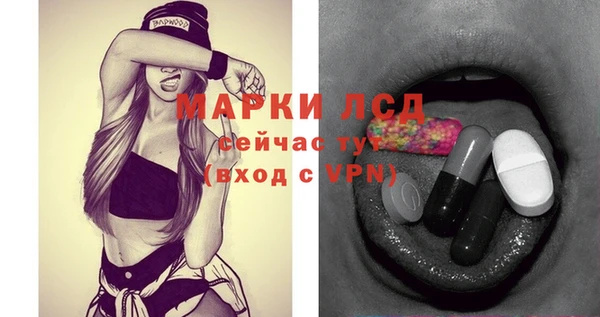 гидра Алексеевка